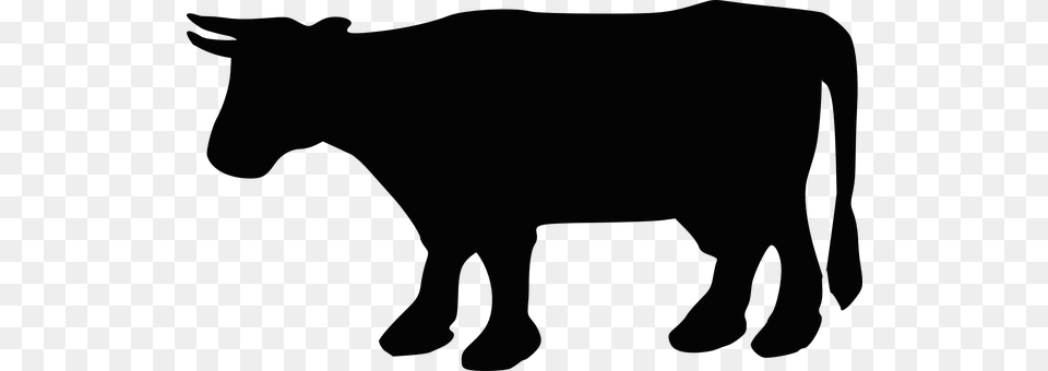 Cow Animal, Bull, Mammal, Livestock Png