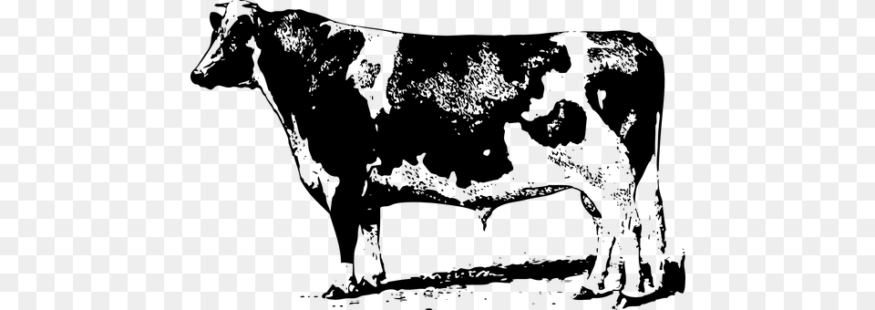 Cow Gray Free Transparent Png
