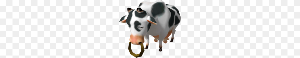 Cow, Livestock, Animal, Cattle, Dairy Cow Free Png