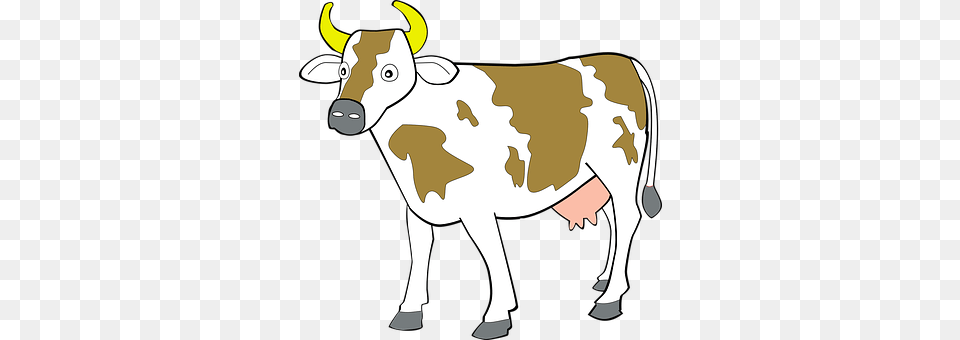 Cow Animal, Cattle, Dairy Cow, Livestock Png Image