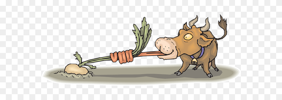 Cow Carrot, Food, Plant, Produce Free Png