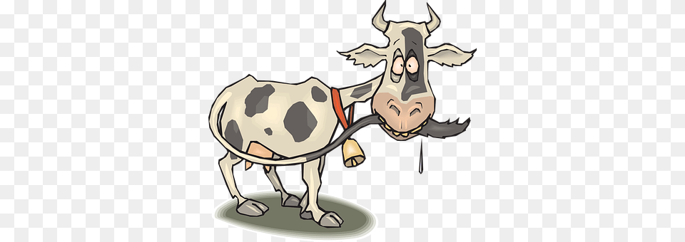 Cow Animal, Cattle, Dairy Cow, Livestock Free Transparent Png