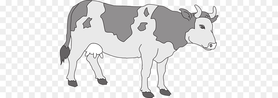 Cow Animal, Mammal, Cattle, Livestock Png