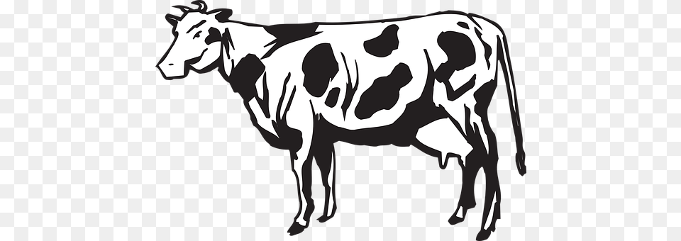 Cow Animal, Cattle, Dairy Cow, Livestock Png