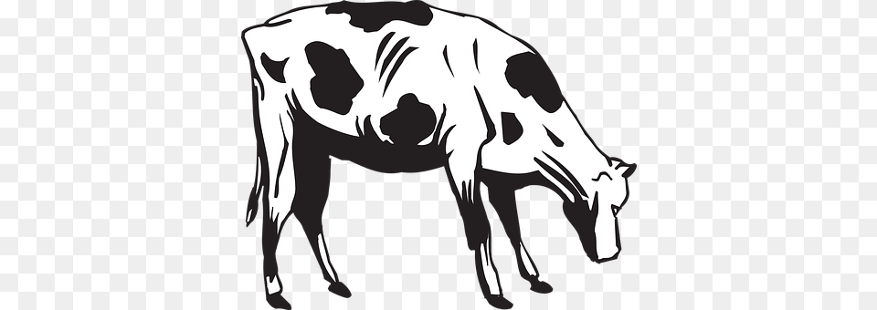 Cow Animal, Cattle, Livestock, Mammal Free Transparent Png