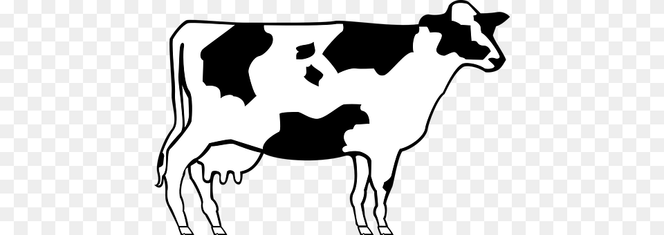 Cow Animal, Cattle, Livestock, Mammal Free Png Download
