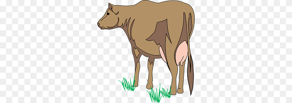 Cow Animal, Cattle, Dairy Cow, Livestock Free Png