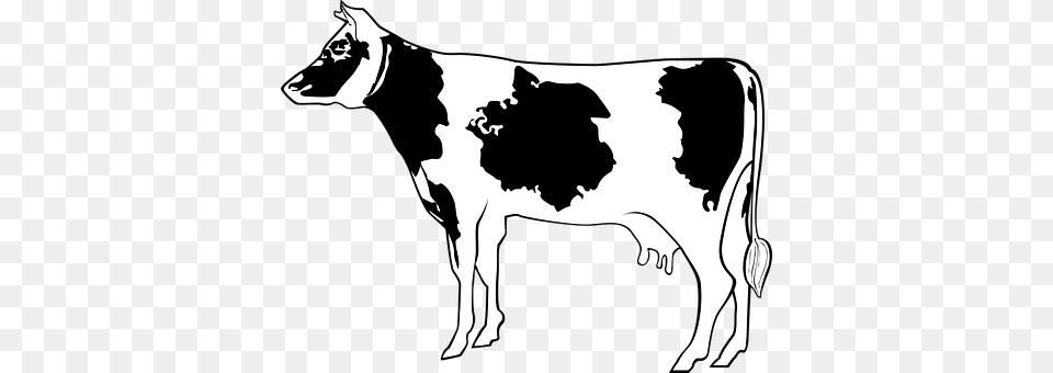 Cow Animal, Cattle, Dairy Cow, Mammal Png Image