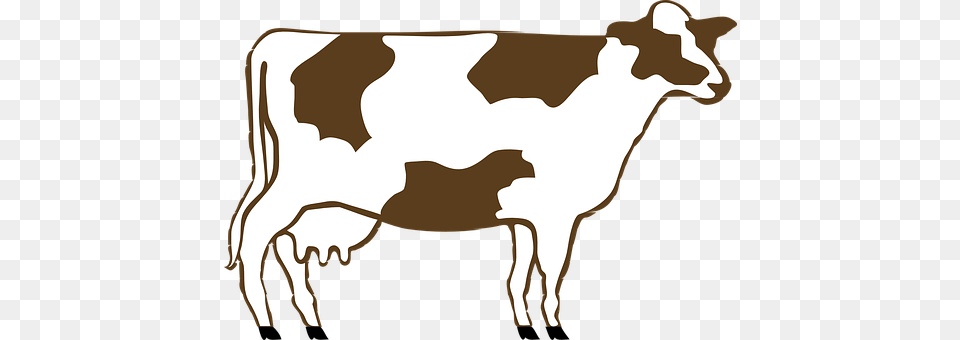 Cow Animal, Cattle, Dairy Cow, Livestock Free Transparent Png