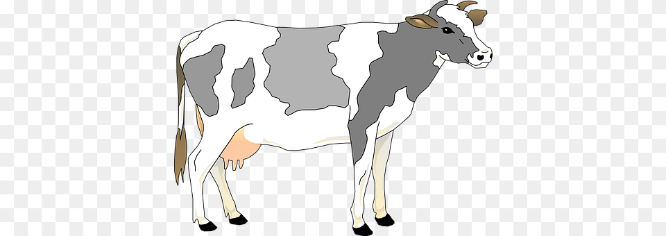 Cow Animal, Cattle, Dairy Cow, Livestock Png