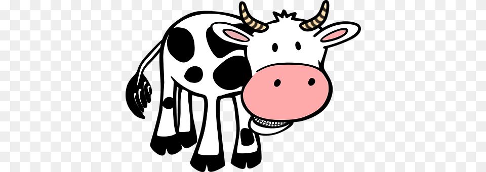 Cow Animal, Cattle, Livestock, Mammal Png