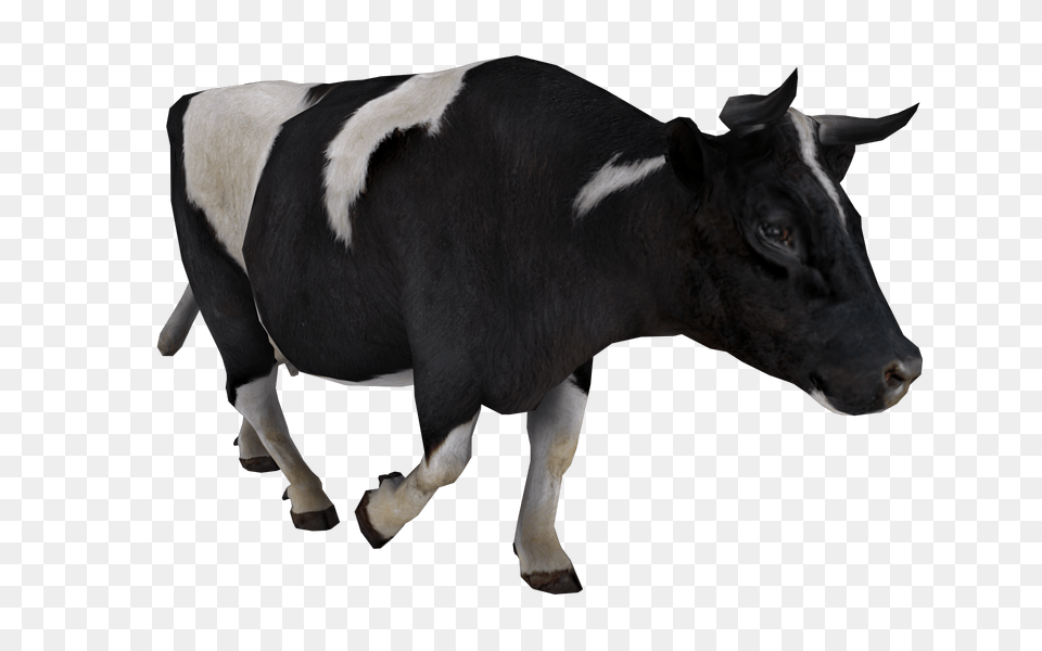 Cow, Animal, Cattle, Livestock, Mammal Free Png Download