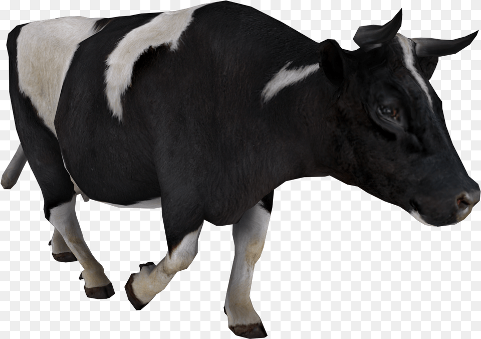 Cow, Animal, Cattle, Livestock, Mammal Free Transparent Png