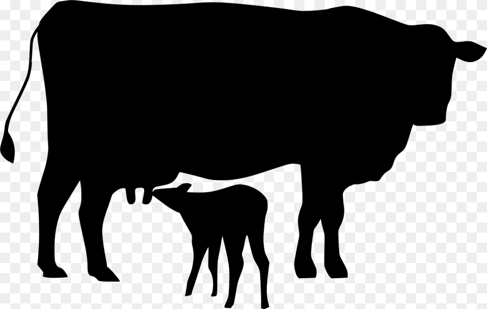 Cow And Calf Icon, Gray Png Image