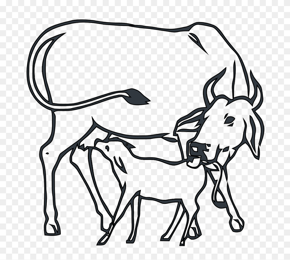 Cow And Calf Inc, Animal, Cattle, Livestock, Mammal Png