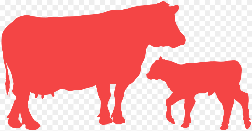 Cow And Calf Silhouette, Animal, Cattle, Livestock, Mammal Png Image