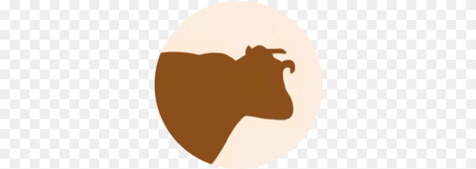 Cow B Ox, Animal, Bull, Mammal, Livestock Free Png