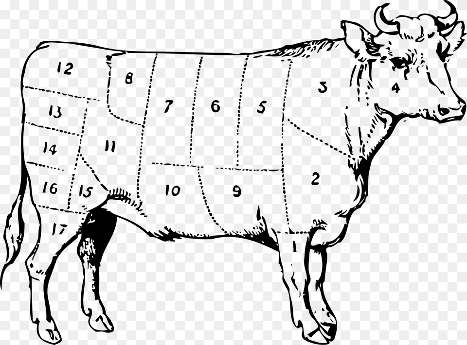 Cow Beef Cuts Numbered Symbol Meat Parts Cattle Ox Clip Art, Gray Free Png