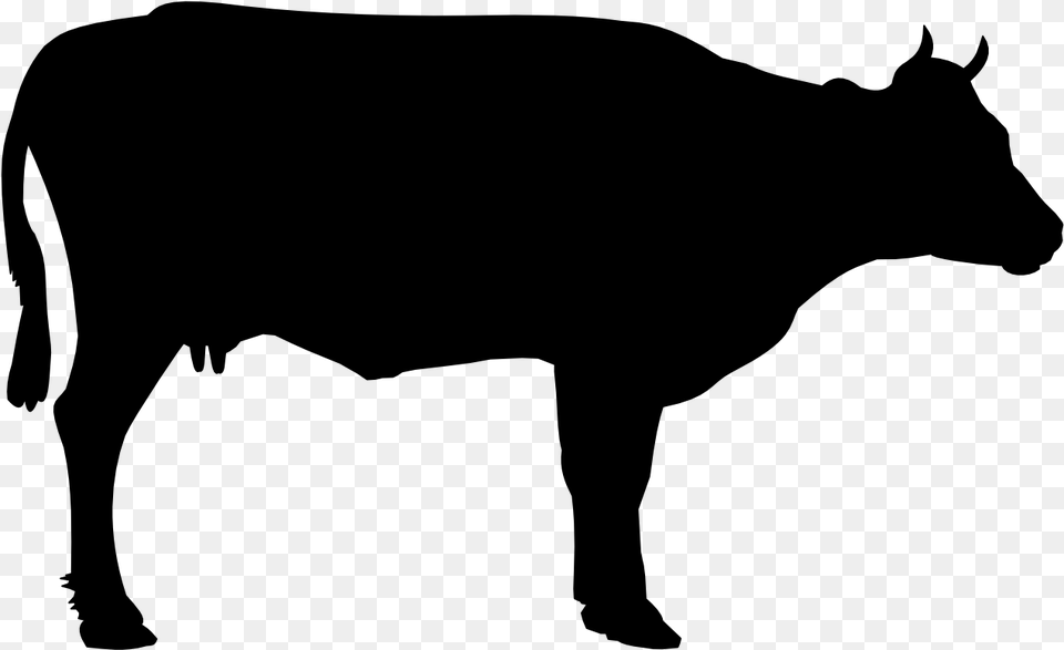 Cow Black, Gray Free Transparent Png