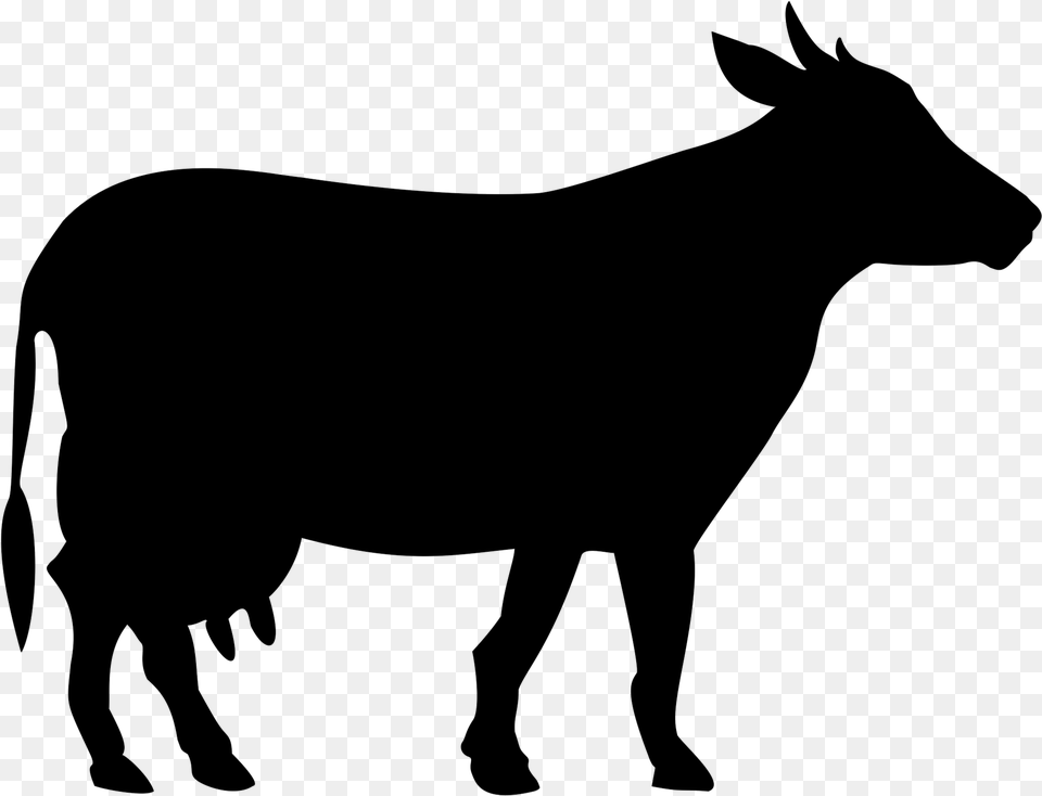 Cow Black And White, Gray Free Png Download