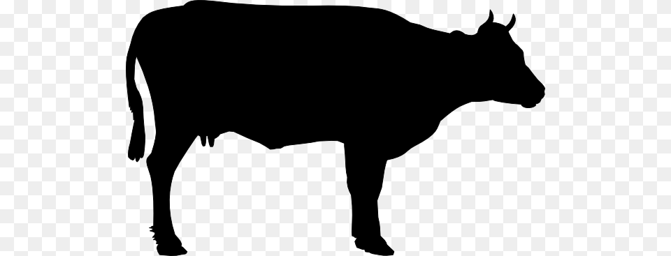 Cow Clip Art, Animal, Bull, Mammal, Cattle Png Image