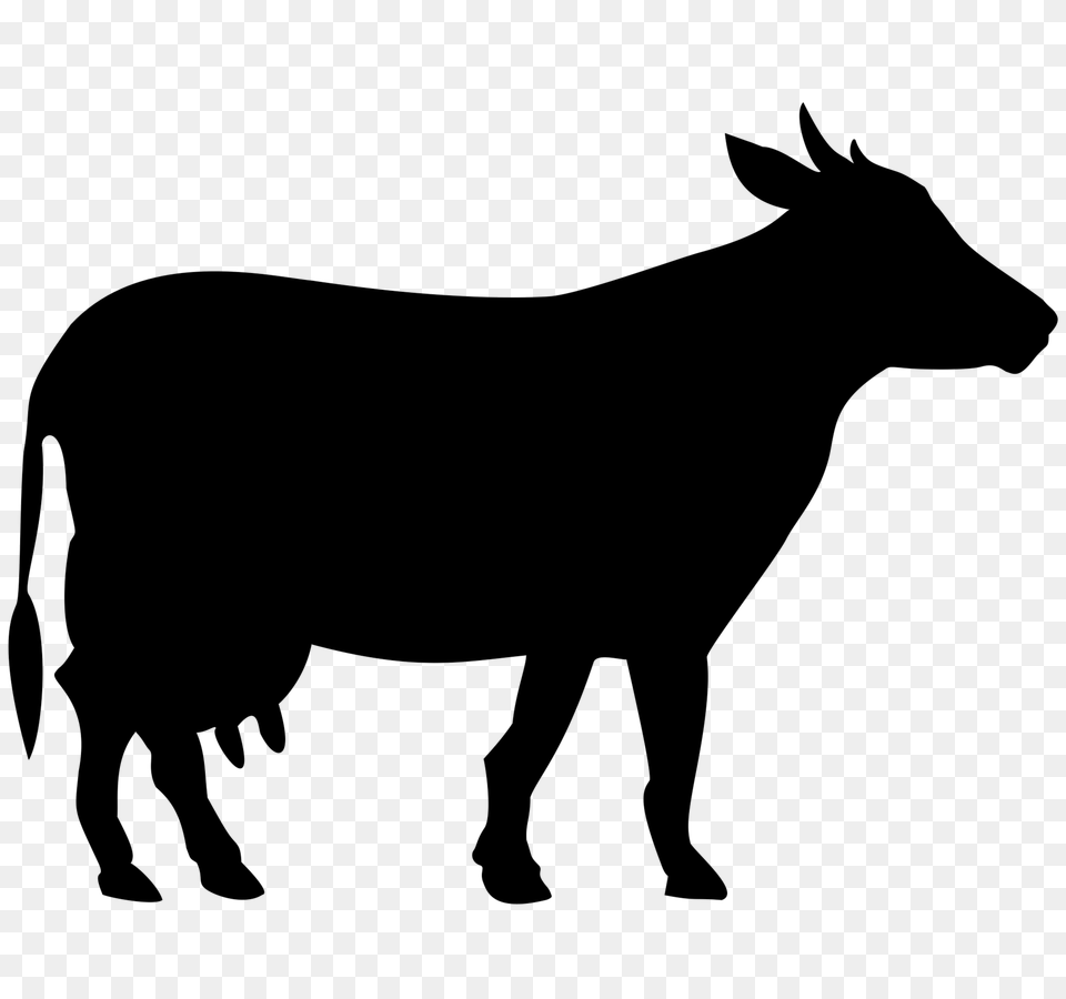 Cow Clip Art Images Black, Gray Png Image
