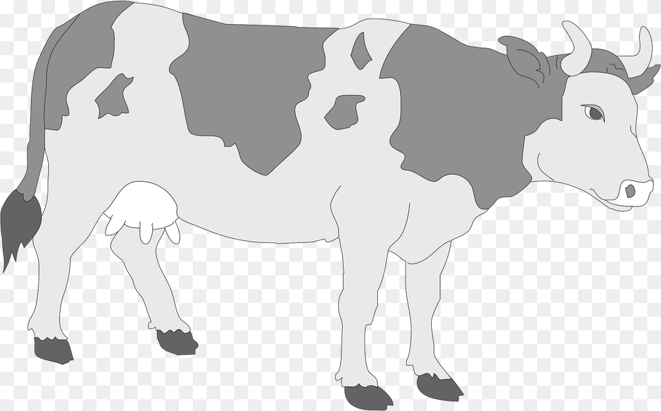 Cow Clipart, Animal, Mammal, Cattle, Livestock Png