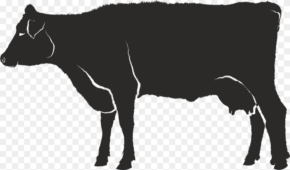 Cow Clipart, Animal, Cattle, Livestock, Mammal Free Transparent Png