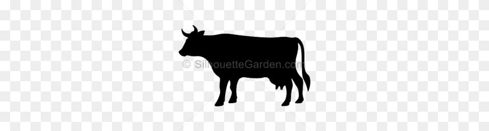 Cow Clipart, Animal, Bull, Mammal, Cattle Free Png Download