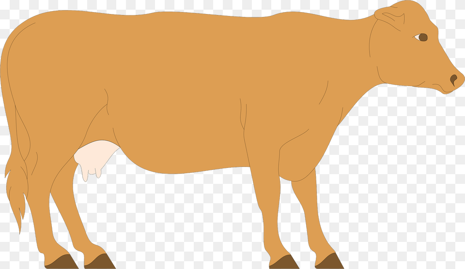 Cow Clipart, Animal, Cattle, Livestock, Mammal Free Png
