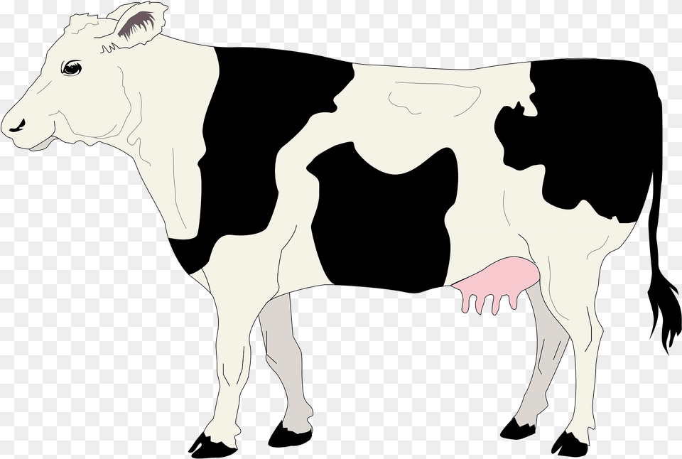 Cow Clipart, Animal, Cattle, Dairy Cow, Mammal Png Image