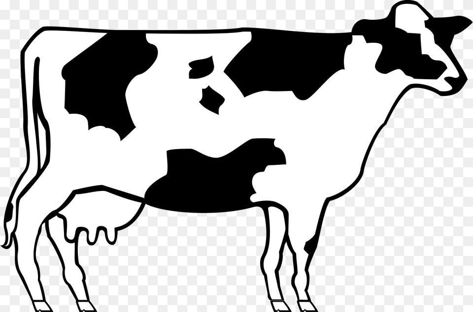 Cow Clipart, Animal, Cattle, Dairy Cow, Livestock Png