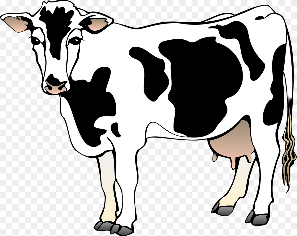 Cow Clipart, Animal, Cattle, Dairy Cow, Livestock Free Png Download