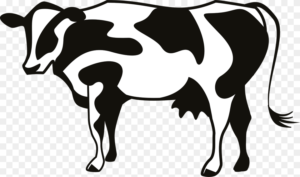 Cow Clipart, Animal, Cattle, Dairy Cow, Livestock Png