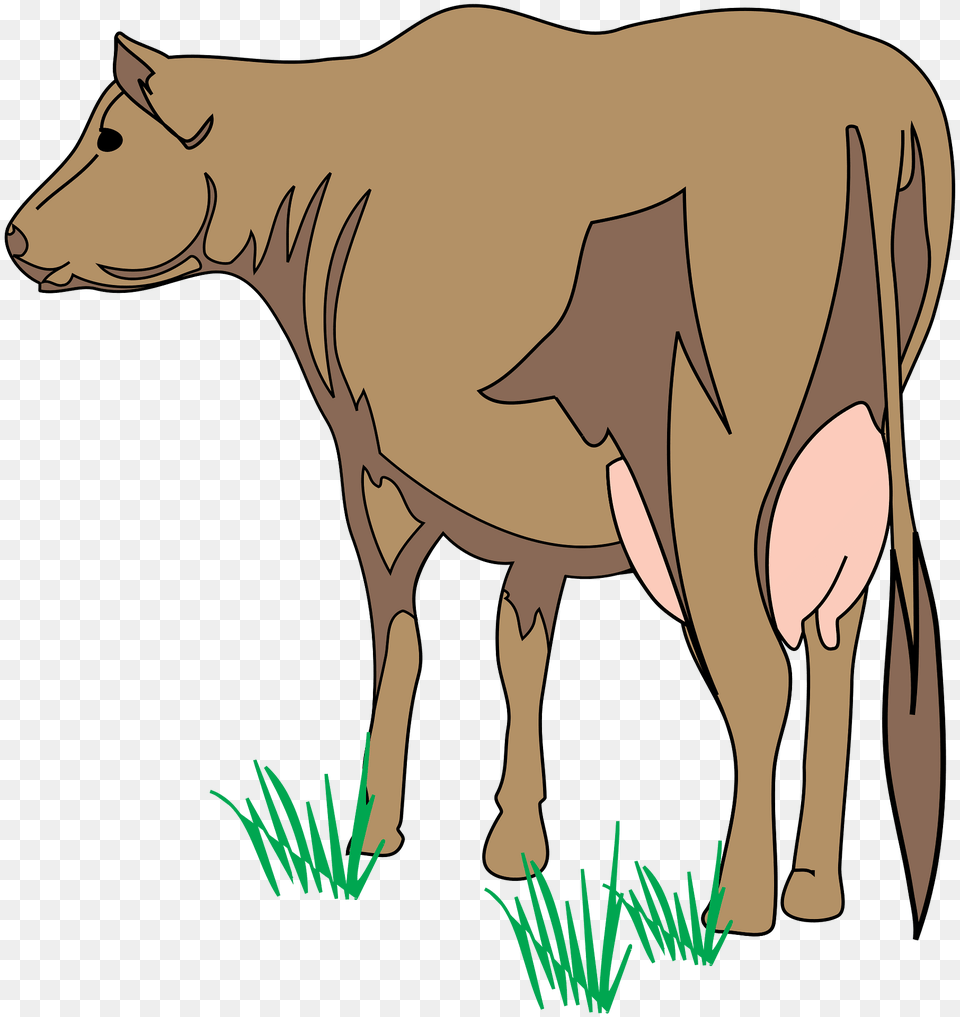 Cow Clipart, Animal, Cattle, Dairy Cow, Livestock Free Png Download