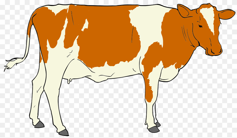 Cow Clipart, Livestock, Animal, Cattle, Dairy Cow Free Transparent Png