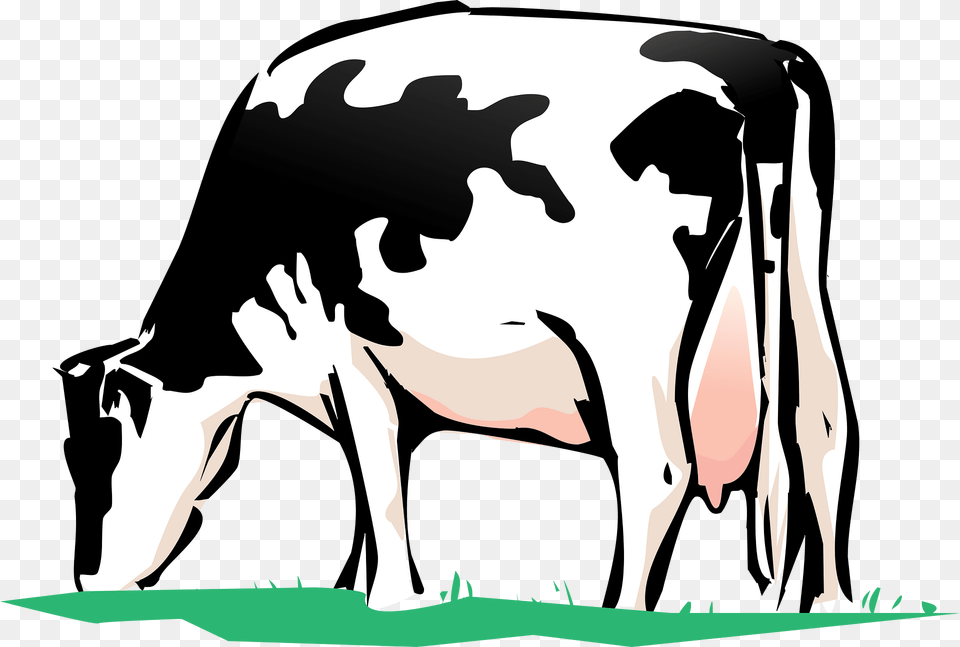 Cow Clipart, Animal, Cattle, Dairy Cow, Livestock Free Png Download