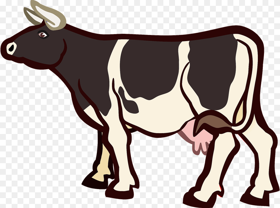Cow Clipart, Animal, Cattle, Dairy Cow, Livestock Free Transparent Png