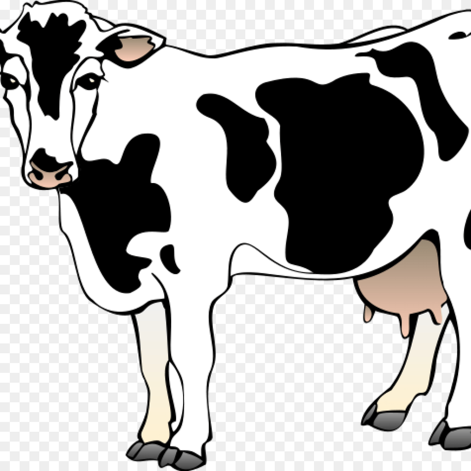 Cow Clipart Black And White Birthday Clipart House Clipart, Animal, Mammal, Livestock, Dairy Cow Png