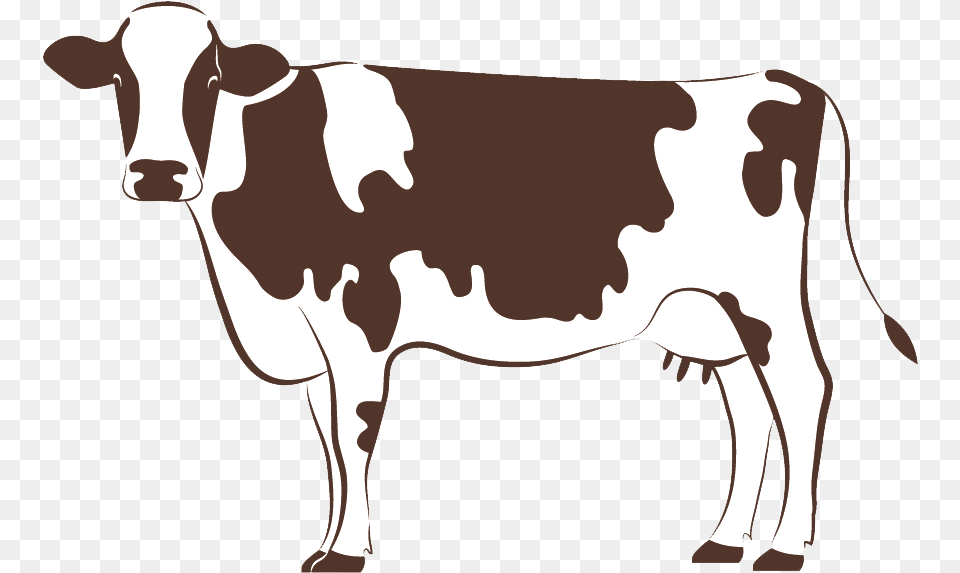Cow Clipart Cow Logo, Animal, Cattle, Dairy Cow, Livestock Free Png