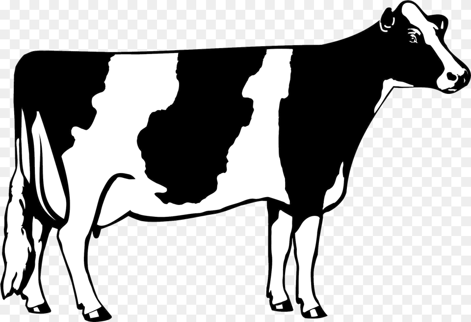 Cow Clipart Dairy Cow Clip Art, Animal, Cattle, Dairy Cow, Mammal Png