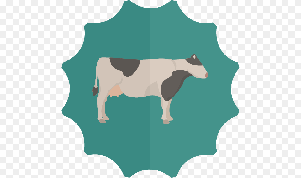 Cow Clipart Digestive System Dairy Cow, Animal, Cattle, Dairy Cow, Livestock Png