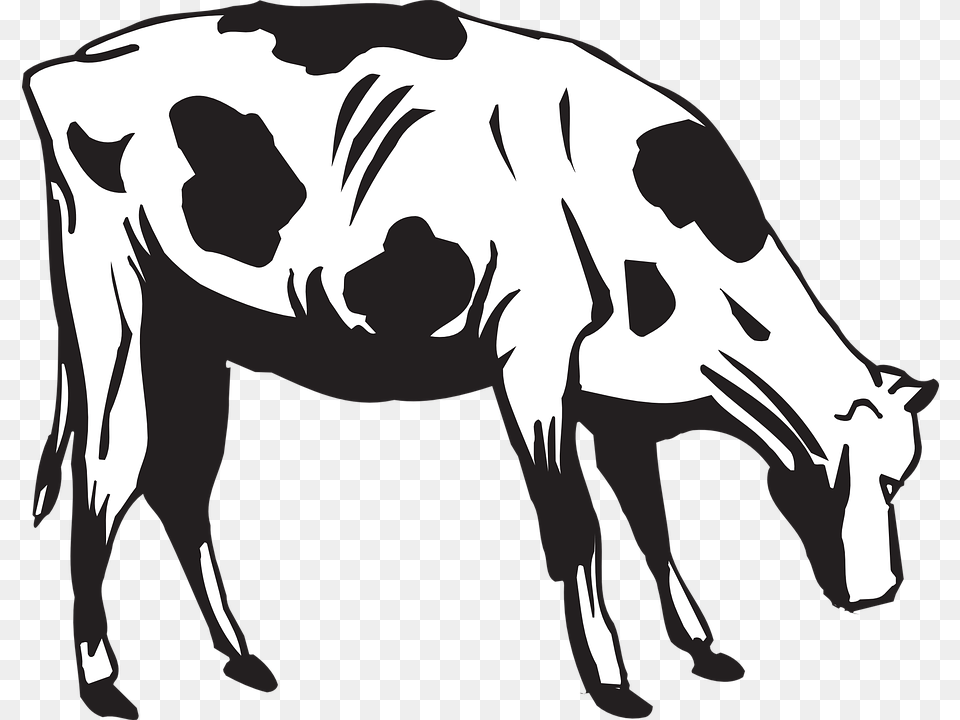 Cow Clipart Eating, Stencil, Mammal, Livestock, Cattle Png