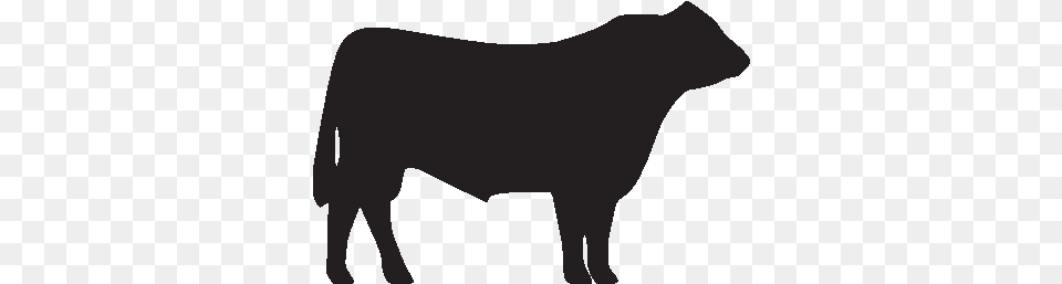 Cow Clipart Hereford Cow Angus Bull Clip Art, Animal, Mammal, Cattle, Livestock Free Transparent Png