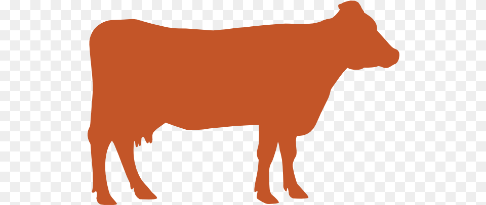 Cow Comfort Alltech Animal Figure, Cattle, Livestock, Mammal, Person Free Png