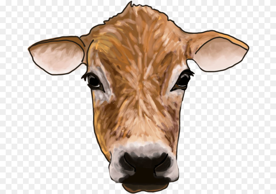 Cow Dairy Cow, Livestock, Animal, Cattle, Mammal Free Png Download