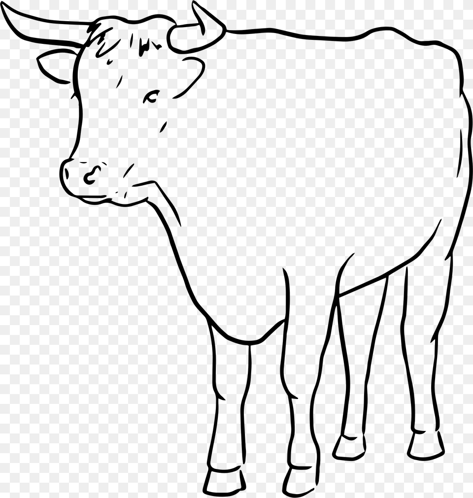 Cow Drawing Artistic Bull And Cow Drawing, Gray Free Transparent Png