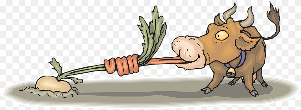 Cow Eating Food Animal Tongue Turnip Turnip In Ground Cartoon, Head, Person, Face, Baby Png