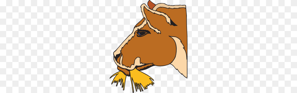 Cow Eating Hay Clip Art For Web, Baby, Person, Animal, Colt Horse Free Png