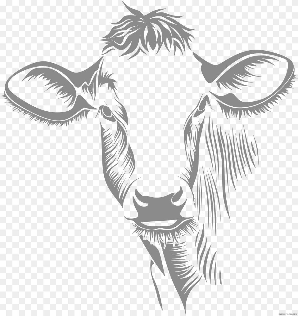 Cow Face Line Art Hd Cow Line Art, Animal, Cattle, Livestock, Mammal Png Image